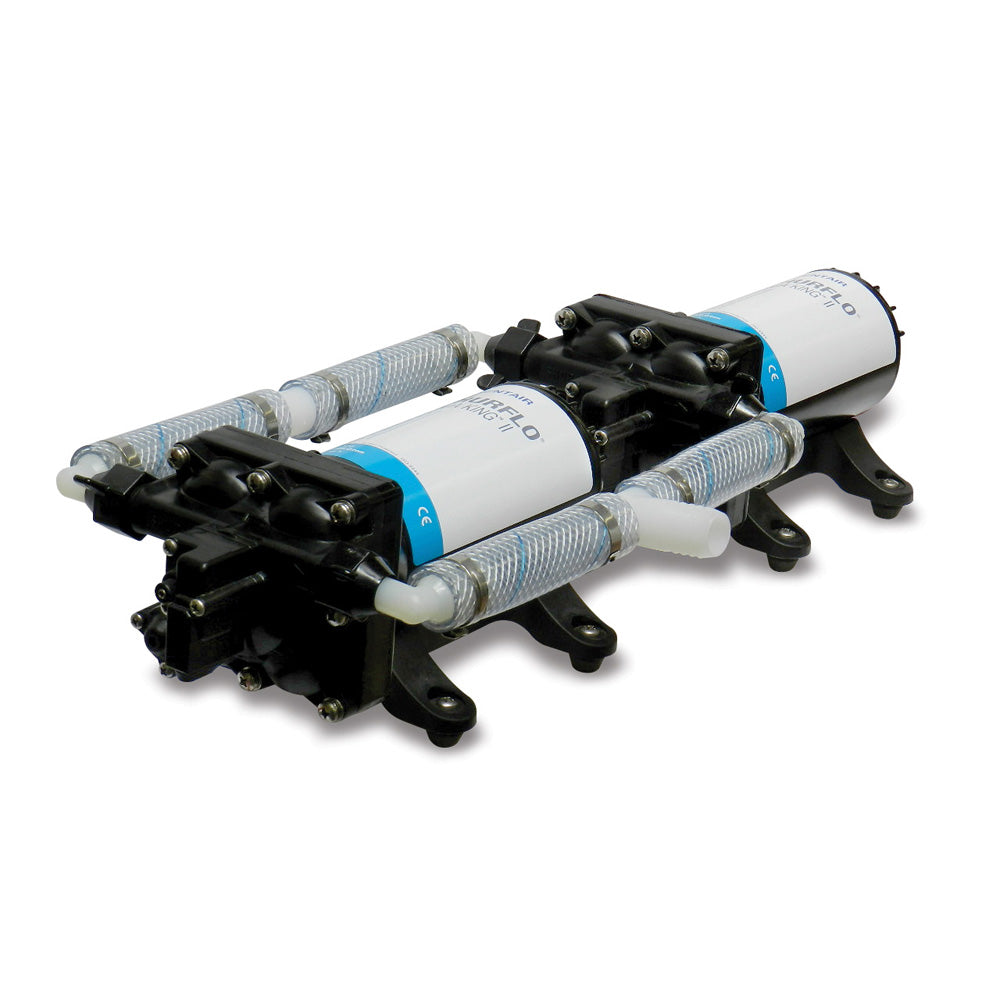 Shurflo by Pentair High Flow Dual Pump System 24 VDC 100 GPM 4558163E75