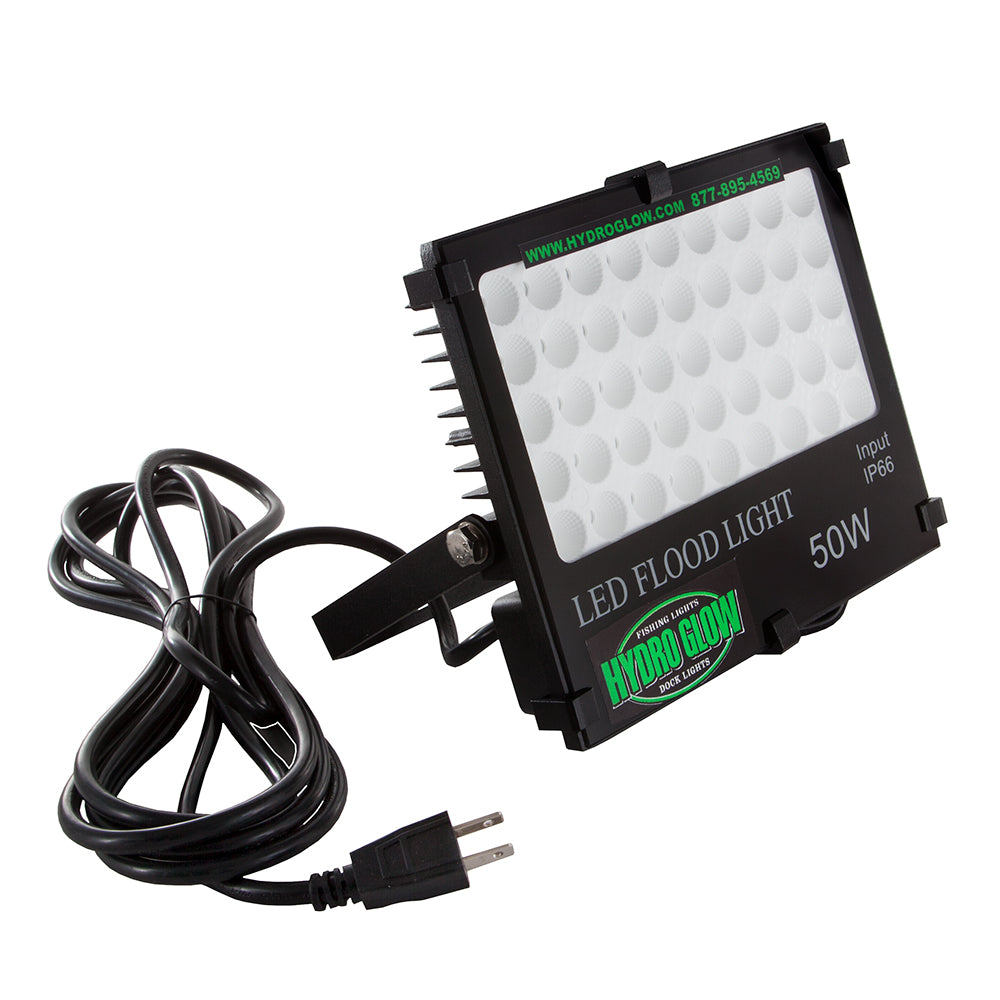 Hydro Glow FL50 50W120VAC Flood Light Green FL50