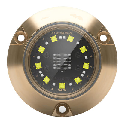 Lumishore ECLIPSE SMX24 Single Light Surface Mount Underwater Light  White 0100450300