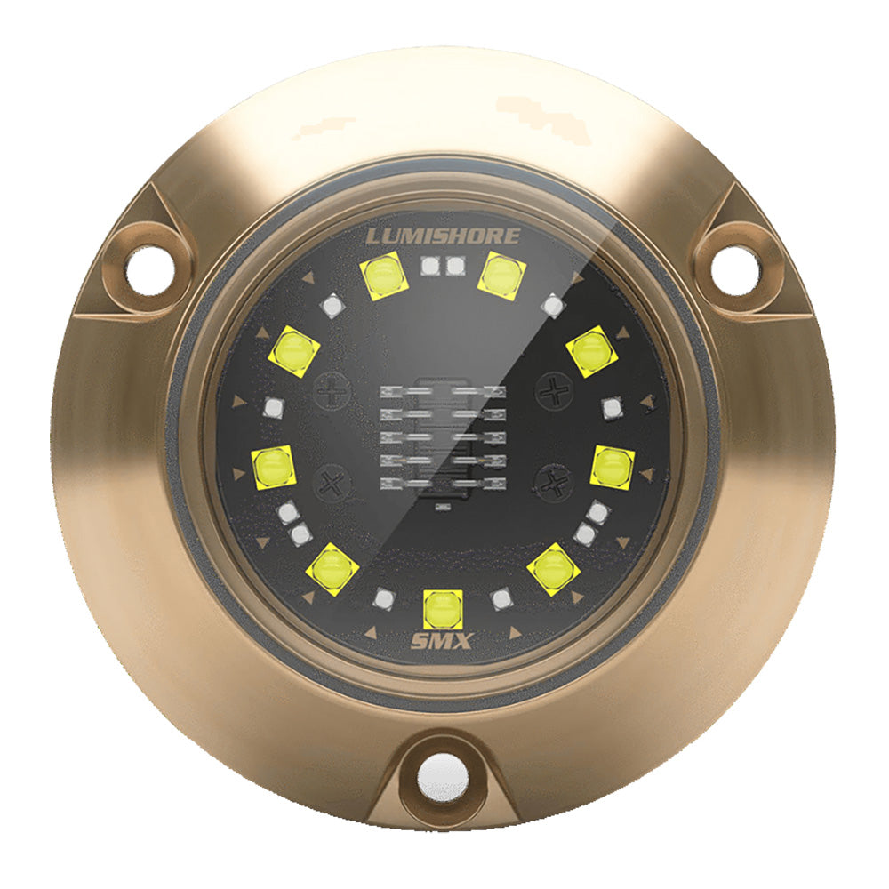 Lumishore ECLIPSE SMX24 Single Light Surface Mount Underwater Light  BlueWhite 0100450400