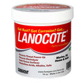 Forespar Lanocote Rust  Corrosion Solution  16 oz 770003