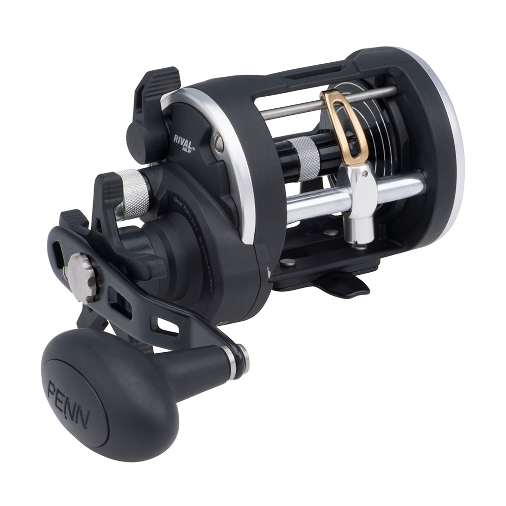 PENN RIV20LWCP Rival 20 Level Wind Reel 1403996