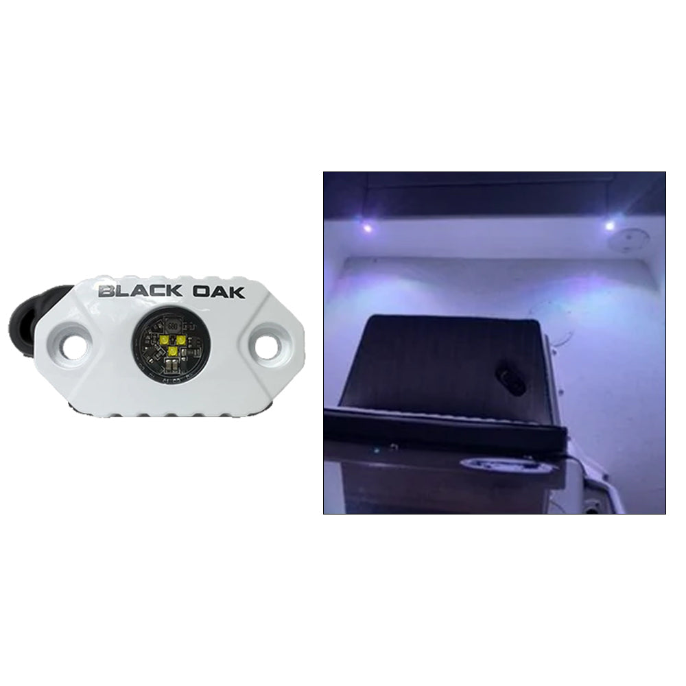Black Oak Rock Accent Light  White LEDs  White Housing MALW