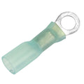 Pacer 1614 AWG Heat Shrink Ring Terminal  10 Stud Size  3 Pack TE1410R3